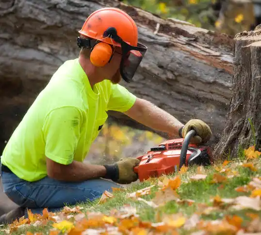 tree services El Duende